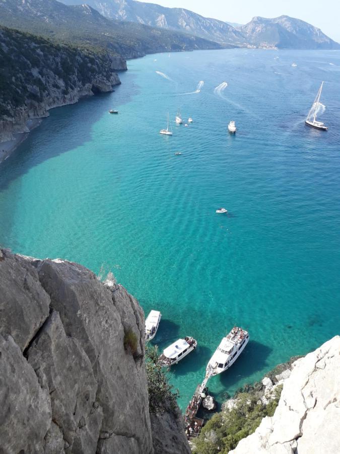 B&B Fradama' Holiday Dorgali Exteriör bild