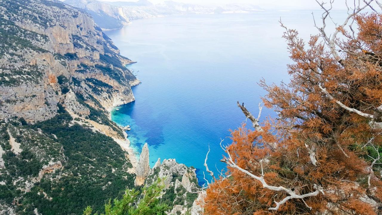 B&B Fradama' Holiday Dorgali Exteriör bild