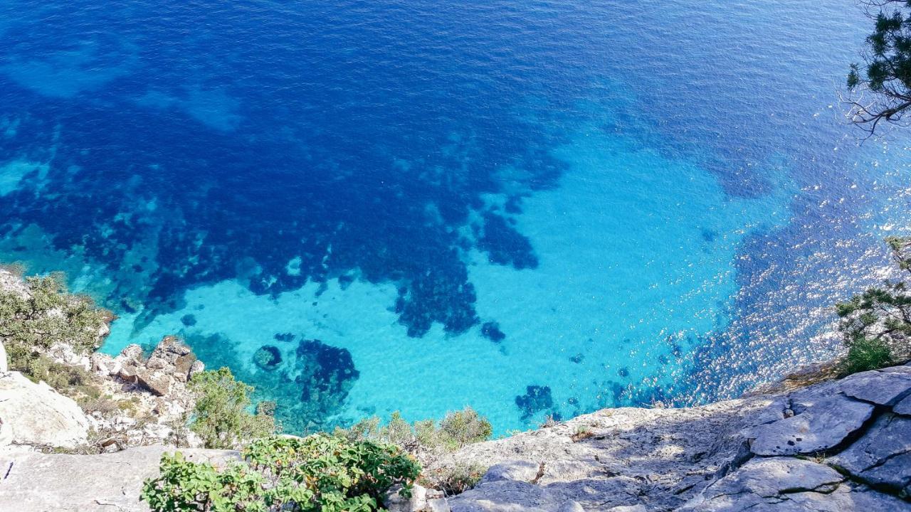 B&B Fradama' Holiday Dorgali Exteriör bild