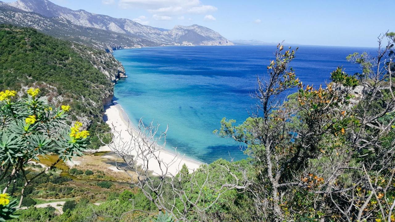 B&B Fradama' Holiday Dorgali Exteriör bild